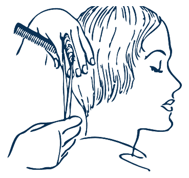 Hair category illustration